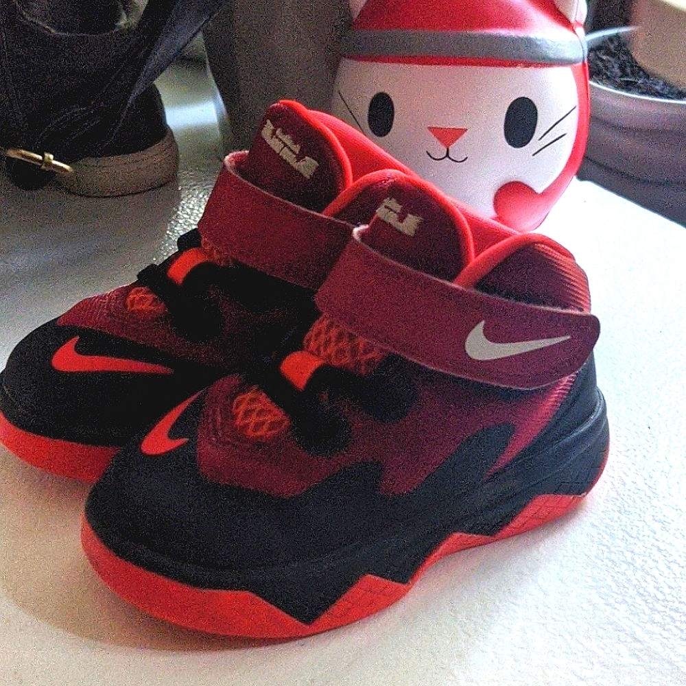 Little Lebrons